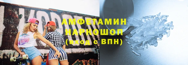 хмурый Алексин