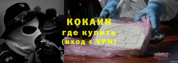 крисы Алзамай