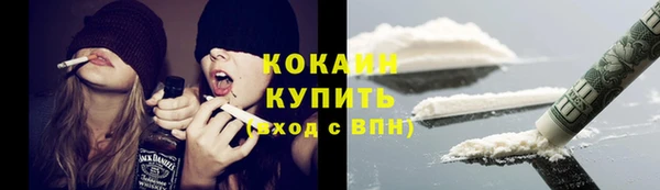 молекула духа Алексеевка