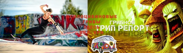 молекула духа Алексеевка