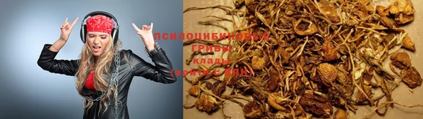 хмурый Алексин
