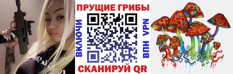mega tor  Ардатов  Галлюциногенные грибы Cubensis 